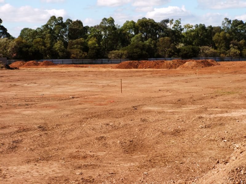 Building Site Clearing in Houston, TX