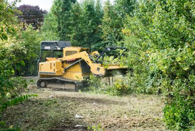 Acreage Clearing in Gwinnett County, GA