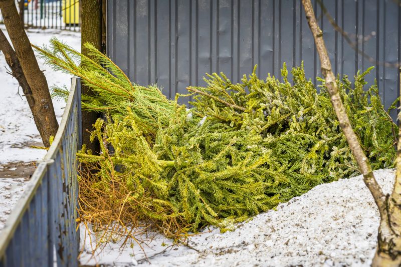 Tree Condition and Health