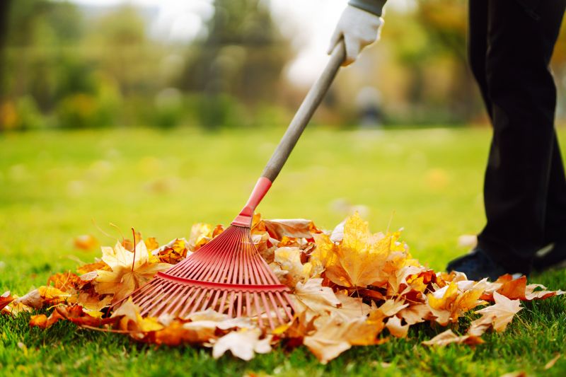 Leaf Raking Techniques