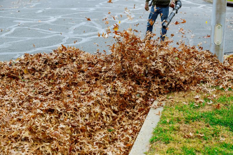 Leaf Blowing Benefits