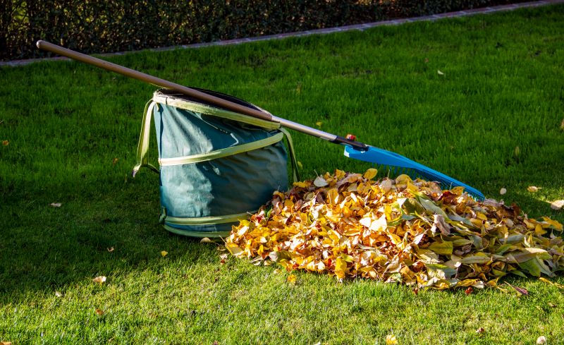 Leaf Disposal Methods