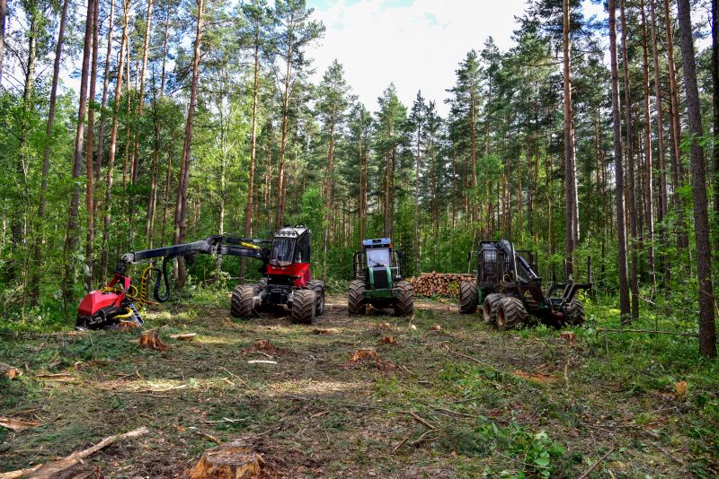 Pine Tree Removal Equipment